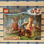LEGO 75967 Harry Potter Ontmoeting met Groemp (1x gebouwd), Kinderen en Baby's, Speelgoed | Duplo en Lego, Ophalen of Verzenden