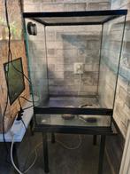 Terrarium 45 cm  45 cm  60 cm, Dieren en Toebehoren, Reptielen en Amfibieën | Toebehoren, Ophalen
