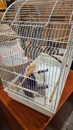 Vintage vogelkooi, met veel toebehoren. Wit metaal., Dieren en Toebehoren, Ophalen of Verzenden, Zo goed als nieuw, Vogelkooi