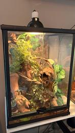 Terrarium Terratlantis 45x45x60 perfect voor gekkos, Ophalen, Zo goed als nieuw