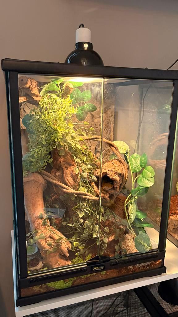 Terrarium Terratlantis 45x45x60 perfect voor gekkos, Dieren en Toebehoren, Reptielen en Amfibieën | Toebehoren, Zo goed als nieuw