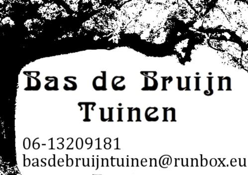 Tuinman aangeboden Zwolle en wijde omgeving, Diensten en Vakmensen, Tuinmannen en Stratenmakers, Tuin- of Vijveraanleg, Tuinonderhoud of Snoeiwerk