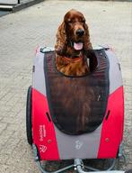 Doggyride fietskar voor de hond, Ophalen of Verzenden, Zo goed als nieuw