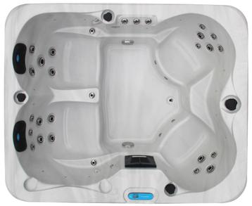 BUITENSPA  plug and play TOP KWALITEIT CANADESE SPA´S !!!!!! beschikbaar voor biedingen