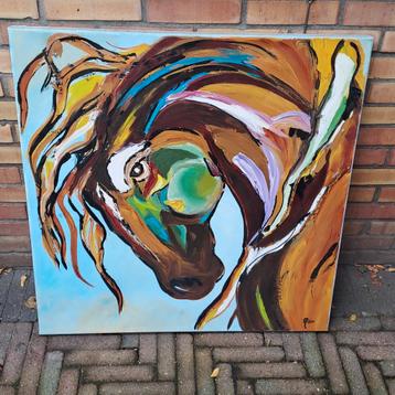 Schilderijen paard 80 x 80.cm beschikbaar voor biedingen