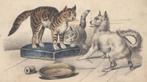 19e eeuwse ingekleurde pentekening - Katten & hond, Ophalen of Verzenden