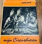 Circus! Boek : mijn circusdieren - Paula Bush, Ophalen of Verzenden, Gebruikt