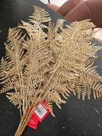 Kunsttak Asparagus 86 cm goud, Huis en Inrichting, Ophalen of Verzenden