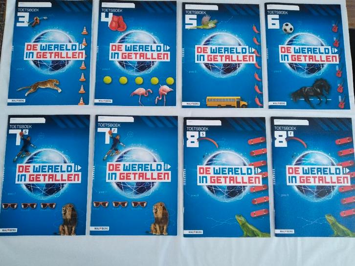 De Wereld in Getallen Toetsboek Groep 3,4,5,6,7S,7FS,8S, 8FS, Boeken, Schoolboeken, Nieuw, Overige vakken, Overige niveaus, Ophalen of Verzenden