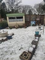 Stacaravan met onverwacht veel mogelijkheden in Eext., Particulier, Rondzit