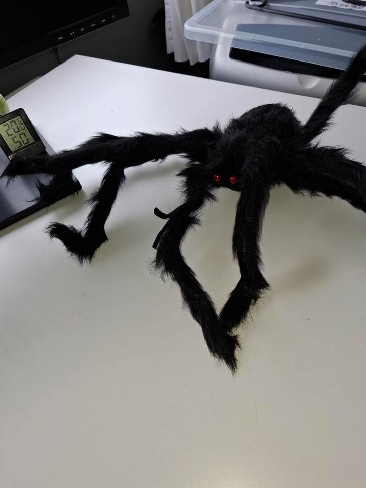Halloween Spin - Levensecht - 35cm, Huis en Inrichting, Woonaccessoires | Overige, Ophalen of Verzenden