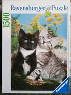 Puzzel 1500 stukjes: Twee Katjes, Ophalen of Verzenden, 500 t/m 1500 stukjes, Gebruikt, Legpuzzel