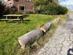 3 grote boomstammen haardhout, Tuin en Terras, Haardhout, Minder dan 3 m³, Ophalen, Stammen