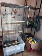 vogelkooi, Dieren en Toebehoren, Ophalen, Zo goed als nieuw, Metaal, Vogelkooi