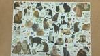 Heel gezellige kattenpuzzel, Ophalen of Verzenden, Zo goed als nieuw