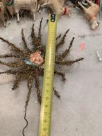 #kerst antieke tinsel Kerstboom ornament met engel, Gebruikt, T, Ophalen of Verzenden, N