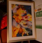 Schilderij ingelijst, Ophalen