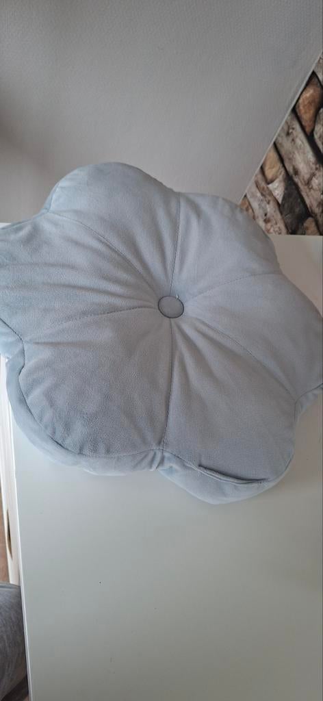 Kussens Kwantum Roze & Blauw - Rookvrij, Huis en Inrichting, Ophalen of Verzenden, Zo goed als nieuw, Roze, Rond