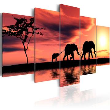 816 Afrika Olifant XXL 5 Luik Canvas Schilderij 200x100cm beschikbaar voor biedingen