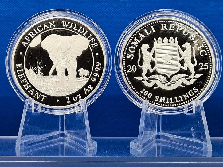 (10079) SOMALI ELEPHANT 2025 TWO OUNCE, Postzegels en Munten, Munten | Afrika, Losse munt, Overige landen, Zilver, Ophalen of Verzenden
