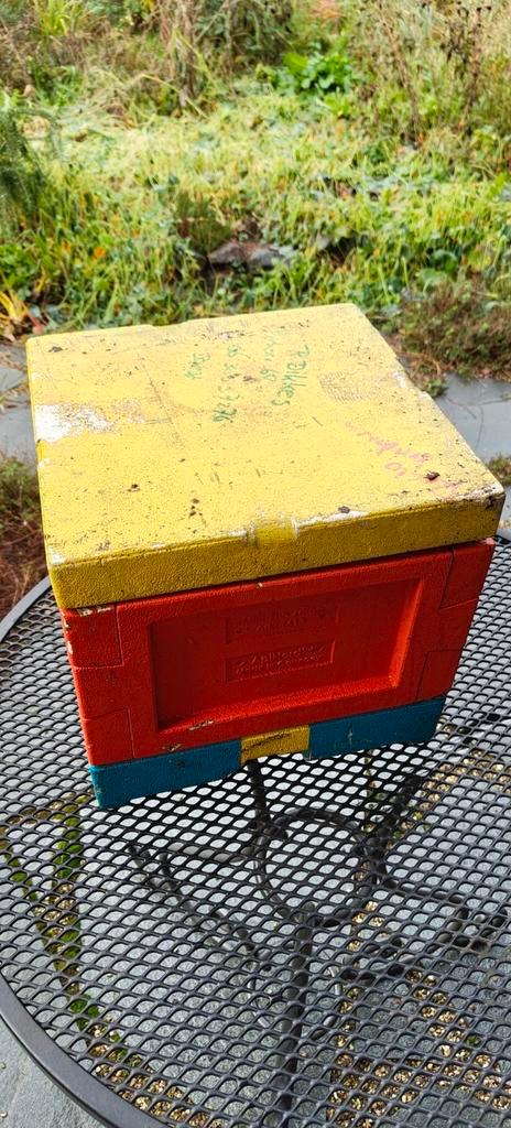 Miniplus, Dieren en Toebehoren, Insecten en Spinnen, Bijen