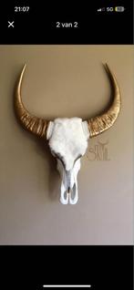 Skull schedel met gouden hoorns, Ophalen of Verzenden, Zo goed als nieuw