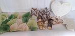 Groot pakket bruiloft/feest decoratie bruiloft versiering, Ophalen of Verzenden, Nieuw, Versiering, Geboorte of Huwelijk