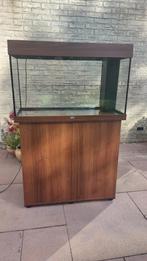 Aquarium juwel Rio 125 met meubel, Dieren en Toebehoren, Vissen | Aquaria en Toebehoren, Ophalen, Zo goed als nieuw, Leeg aquarium