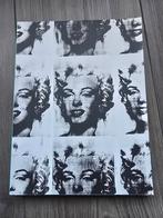 Andy Warhol - Biografie, Ophalen of Verzenden, Gelezen, Overige onderwerpen, Onbekend