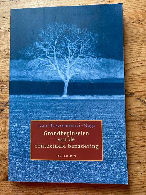 Grondbeginselen van de contextuele benadering, Boeken, Psychologie, Zo goed als nieuw, Ophalen of Verzenden