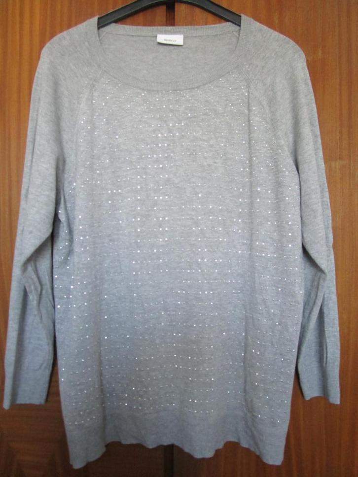 Trui met strassteentjes maat 44/46, Kleding | Dames, Truien en Vesten, Zo goed als nieuw, Maat 42/44 (L), Grijs, Verzenden
