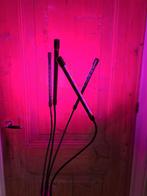 Groeilamp - meerdere kleuren en timer, Ophalen, Minder dan 50 cm