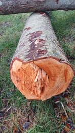 Brandhout, Minder dan 3 m³, Ophalen