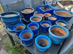 Geglazuurde blauwe potten, Tuin en Terras, Bloempotten, Ophalen, Gebruikt, Rond, Minder dan 40 cm