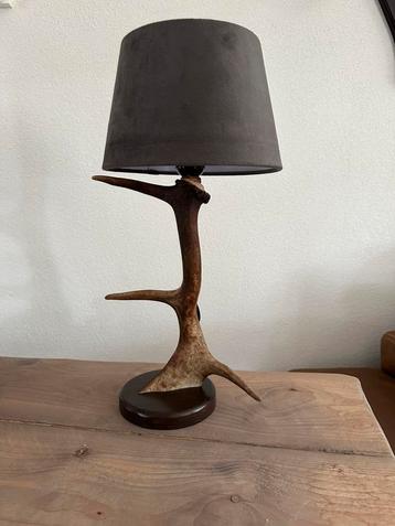 Geweilamp.schemerlamp.geweien.edelhert.damhert.tafellamp beschikbaar voor biedingen
