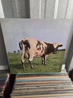 Vinyl lp PINK FLOYD: ATOM HEART MOTHER, Cd's en Dvd's, Vinyl | Rock, Ophalen of Verzenden, 12 inch, Progressive