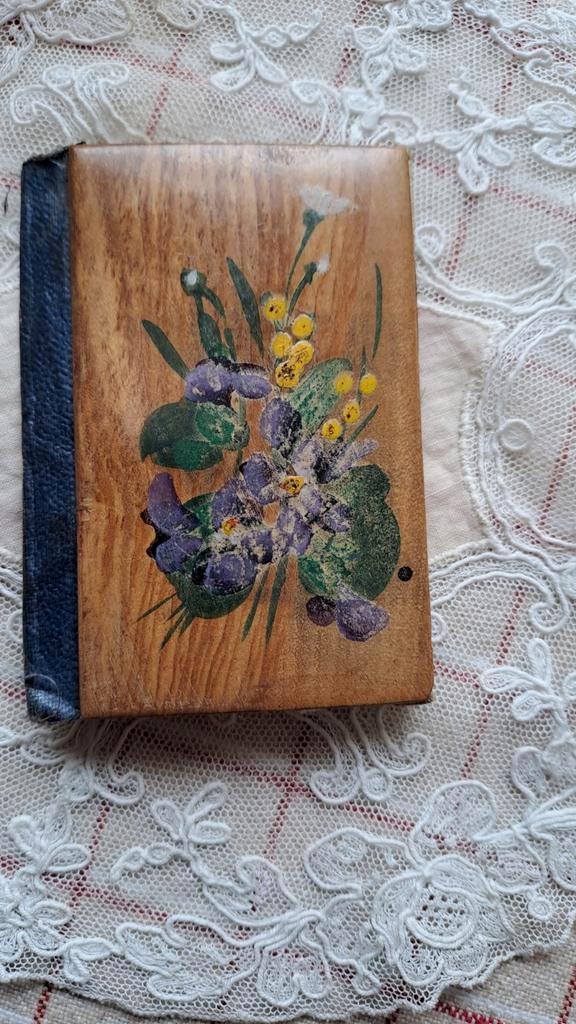 FRANS ANTIEK NAALDENETUI HANDGESCH .VIOOLTJES EN MIMOSA, Antiek en Kunst, Curiosa en Brocante, Verzenden