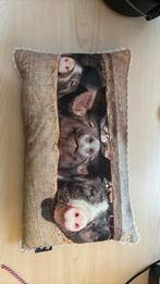 Mooi ongebruikt kussentje met varkens, Ophalen of Verzenden, Zo goed als nieuw, Rechthoekig