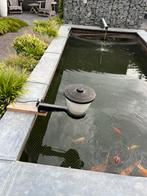 Vijvervissen, Dieren en Toebehoren, Vissen | Vijvervissen, Karper of Koi