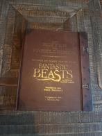 Fantastic Beasts Een koffer vol fabeldieren MinaLima editie, Boeken, Ophalen of Verzenden, Zo goed als nieuw