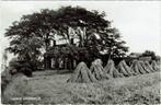 Doornspijk – Boerderij met korenschoven., Verzamelen, Ansichtkaarten | Nederland, Ophalen of Verzenden, 1960 tot 1980, Ongelopen