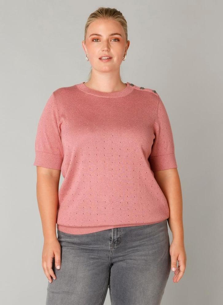 Dark rose pullover Floortje van Yest Curve Maat 46 (0), Kleding | Dames, Truien en Vesten, Nieuw, Maat 46/48 (XL) of groter, Roze