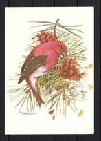 656 VOGELS, Marjolein Bastin, Ophalen of Verzenden, 1980 tot heden, Gelopen, Natuur