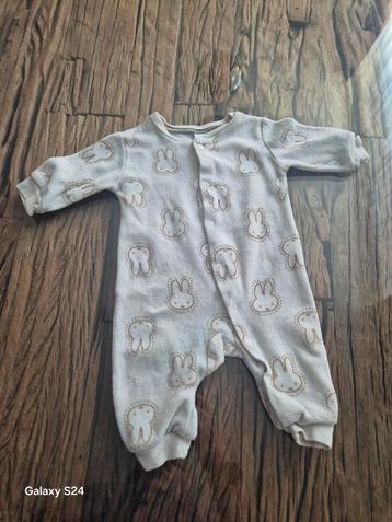 Baby Pakje Konijntjes beschikbaar voor biedingen