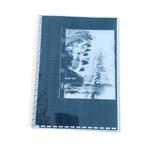 Boek Duitse Atlanktikwal Bunkers - Rudi Rolf, Verzamelen, Militaria | Tweede Wereldoorlog, Ophalen of Verzenden, Landmacht, Duitsland