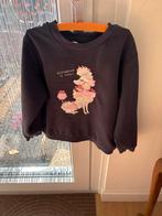 HM Trui Pailletten Poedel Maat 110-116, Ophalen of Verzenden, Zo goed als nieuw, Meisje