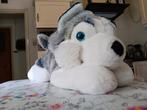 Grote knuffel Husky XXL 80cm, Kinderen en Baby's, Speelgoed | Knuffels en Pluche, Ophalen of Verzenden, Nieuw, Overige typen