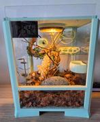 Springspin verblijf van Eightlegged fluffs compleet, Dieren en Toebehoren, Ophalen, Zo goed als nieuw, Terrarium of Paludarium
