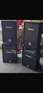 Peavey Luidsprekerset - Top en Subwoofer, Audio, Tv en Foto, Luidsprekers, Overige merken, Gebruikt, Overige typen, Ophalen of Verzenden