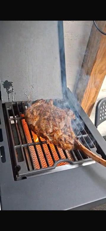 Bbq met sizzle zone (900 graden celsius) beschikbaar voor biedingen